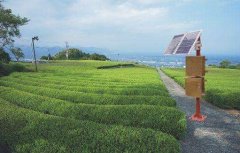 球盟会官网网页版
助力科技种田