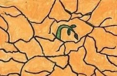 球盟会官网网页版
功能介绍