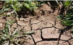 土壤墒情监测系统可以提供哪些数据